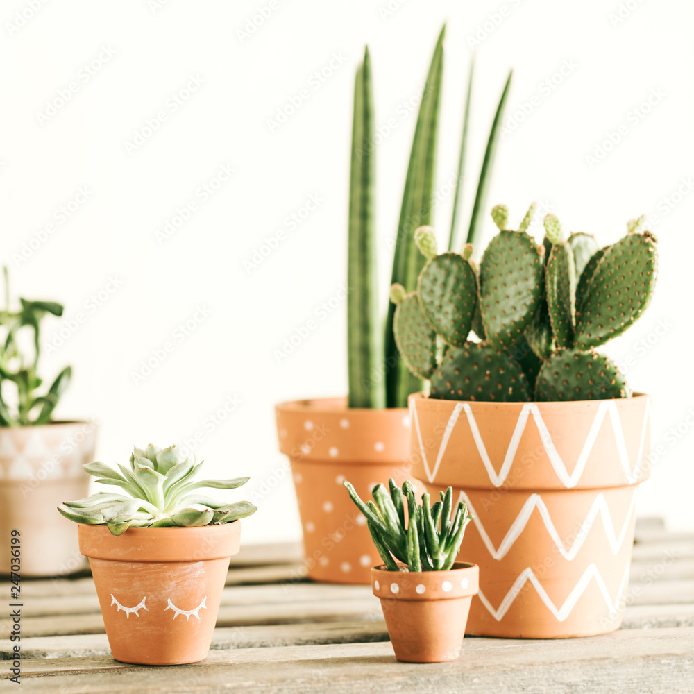 Stylish botanical compostion of home garden filled a lot of cacti and succulent on wooden table. Yellow background wall with copy space for slogan. Nature lover. Stylish botanical compostion of home garden filled a lot of cacti and succulent on wooden table. Yellow background wall with copy space for slogan. Nature lover.