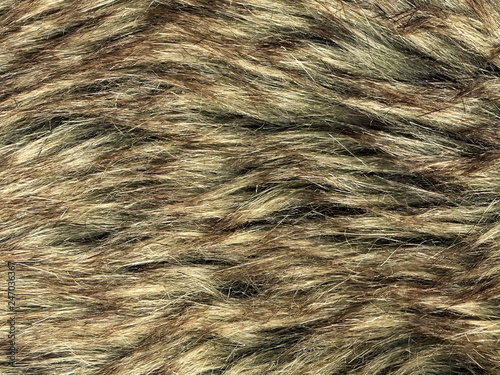 Texture of gray wolf hair fur. Texture of fur. Wool of wolf. Wool of dog.