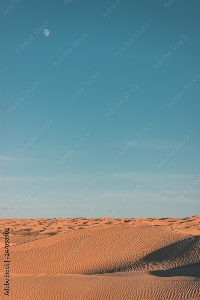 Fototapeta premium Beautiful day in the Sahara Desert during an adventure trip