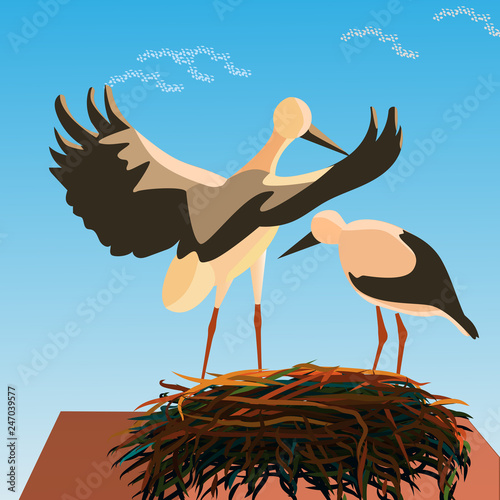 storks in the nest dawn