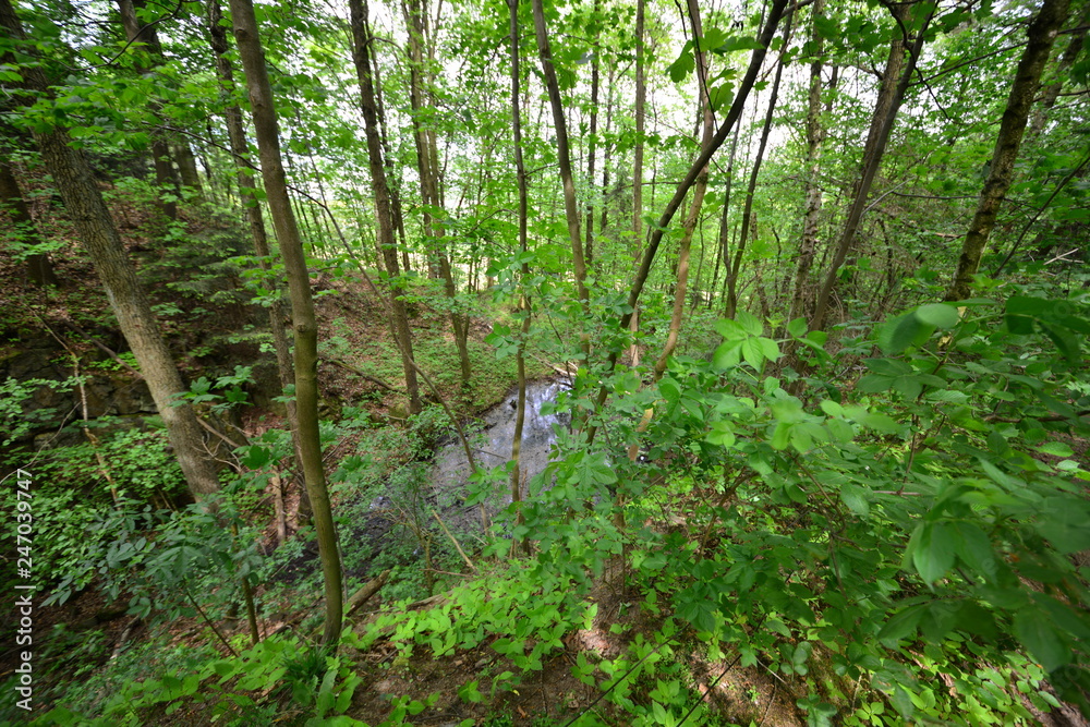 Landschaft Oberlausitz Landschaft Oberlausitz