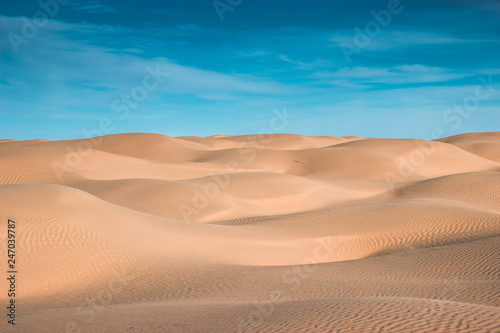 Splendid sky in the Sahara Desert, most beaufitul dunes in Africa