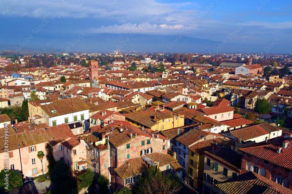 veduta dall'alto del centro storico della città italiana di Lucca vista dalla medievale Torre Guinigi
