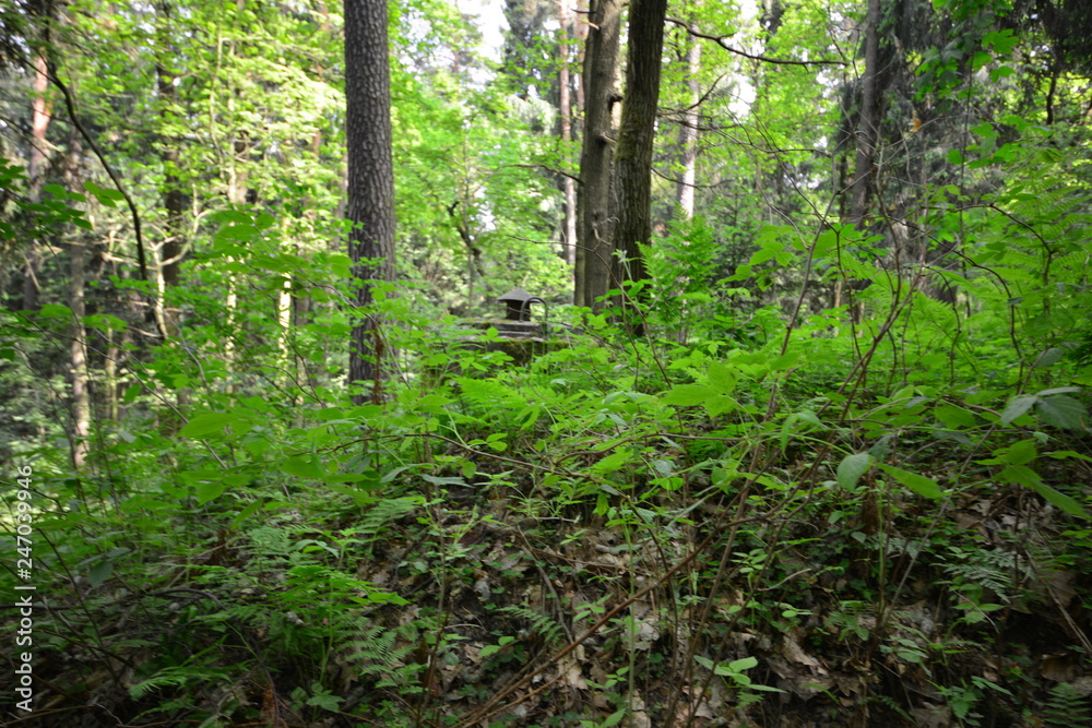 Obraz premium Landschaft Oberlausitz