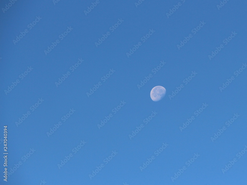 View of the old moon in the daytime sky