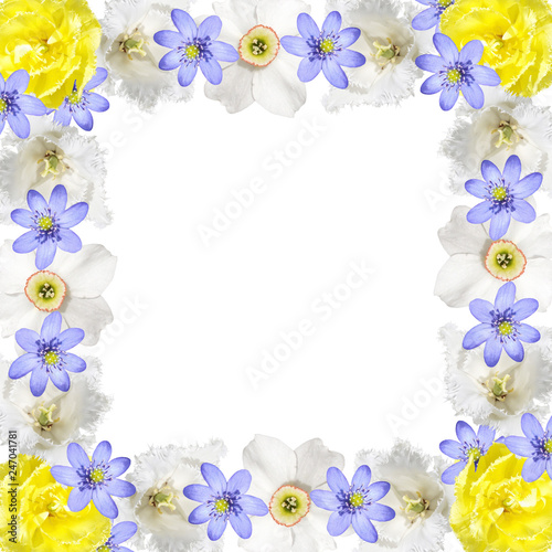 Fototapeta Naklejka Na Ścianę i Meble -  Beautiful floral background of tulips, daffodils and liverwort 