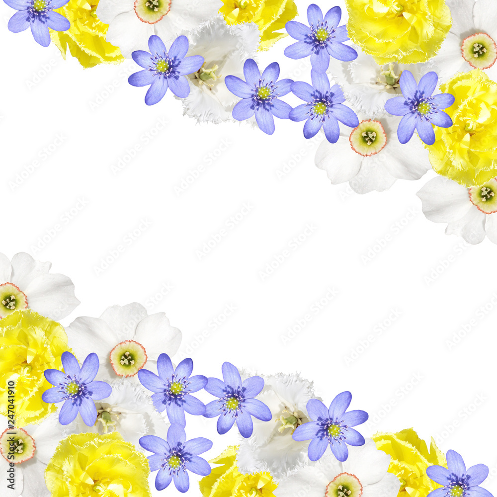 Beautiful floral background of tulips, daffodils and liverwort 