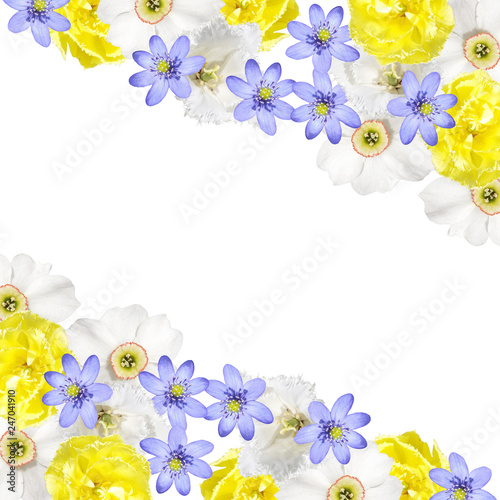 Fototapeta Naklejka Na Ścianę i Meble -  Beautiful floral background of tulips, daffodils and liverwort 