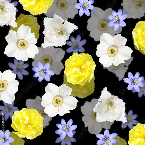 Fototapeta Naklejka Na Ścianę i Meble -  Beautiful floral background of tulips, daffodils and liverwort 