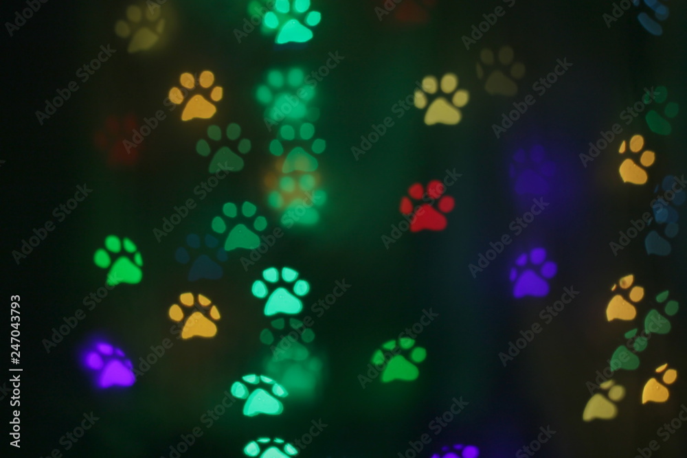colorful bokeh in the shape of animal tracks