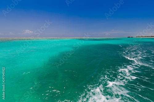 Zanzibar, landscape sea, snorkeling