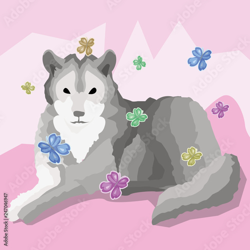 Postcard gray calm wolf who lies rests in fairy-tale dreams. Cute butterflies fly around the wolf, emphasizing calm and tenderness of rest.