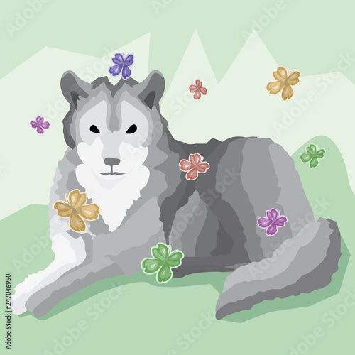 Postcard gray calm wolf who lies rests in fairy-tale dreams. Cute butterflies fly around the wolf, emphasizing calm and tenderness of rest.