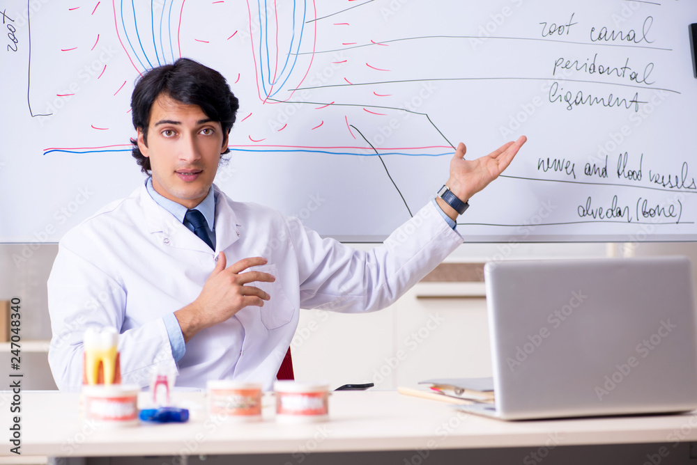 Young handsome dentist in front of the whiteboard Young handsome dentist in front of the whiteboard