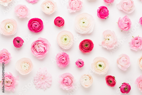 Fototapeta Naklejka Na Ścianę i Meble -  Beautiful colored ranunculus flowers on a white background. Spring greeting card.