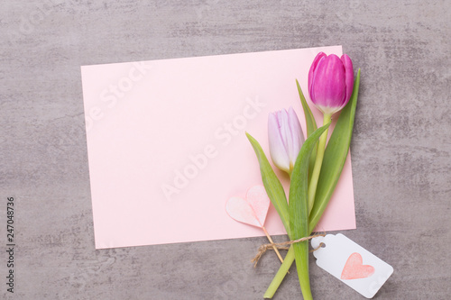 Fototapeta Naklejka Na Ścianę i Meble -  Spring greeting card, pink color tulips on the gray background.