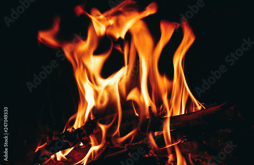 Colorful flame, log burning on fire, backdrop. Fire in fireplace, closeup.
