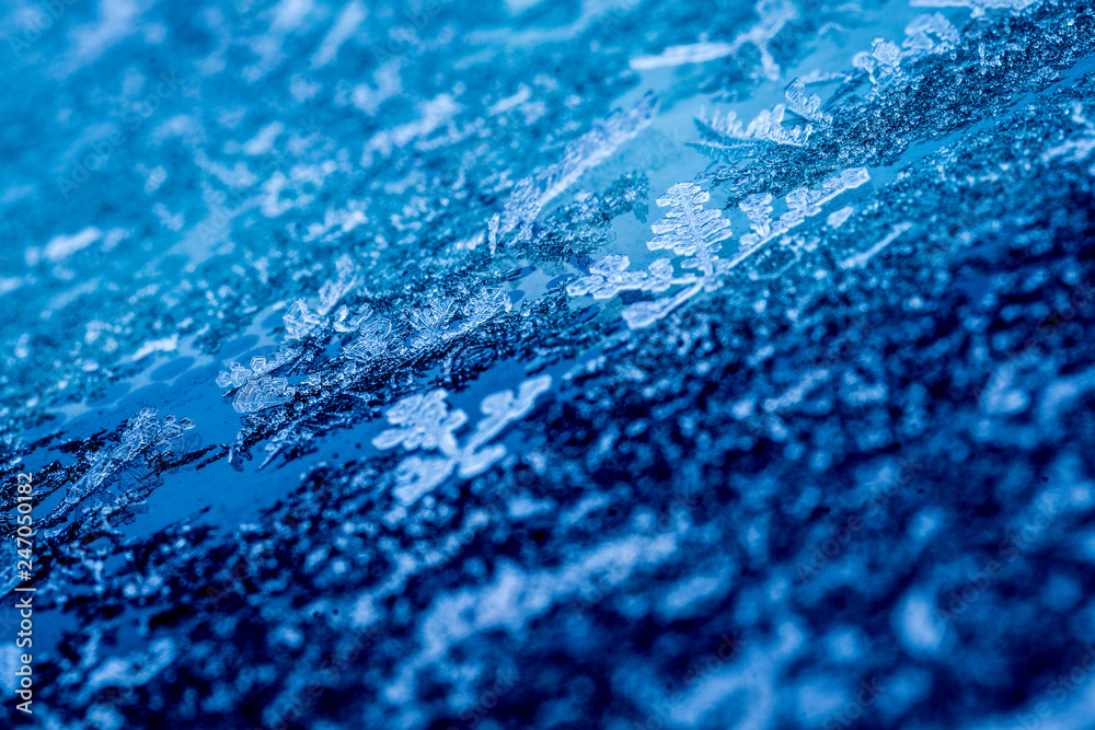Obraz premium frost on glass
