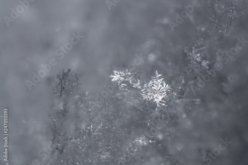 Macro snowflakes