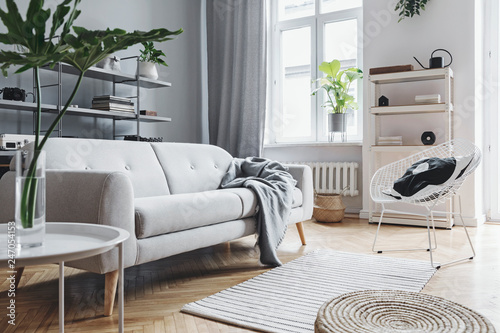 Scandinavian home interior of living room with design sofa with pillow, coffee table, plants, stylish accessories and bookstand on the grey wall. Brown wooden parquet.Concept of minimalistic interior.