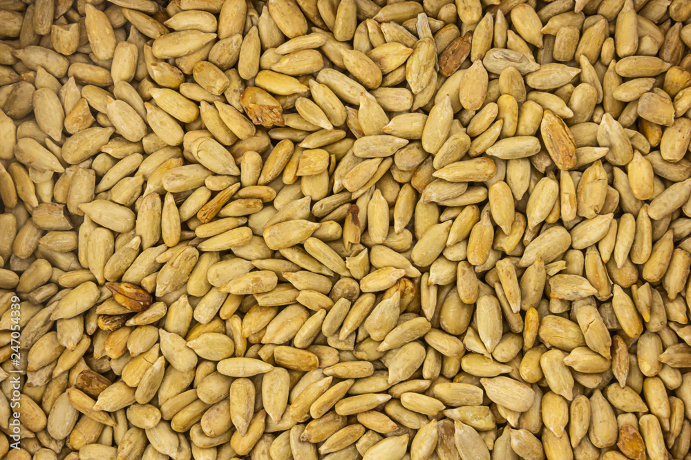 sunflower seeds peeled fried base design oil source culinary background beige pattern sunflower seeds peeled fried base design oil source culinary background beige pattern