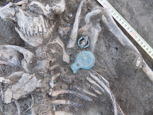 Archaeological excavations. Human remains (bones of skeleton, skulls) in the ground, with finds in the tomb. Real digger process. Outdoors, copy space, close up.