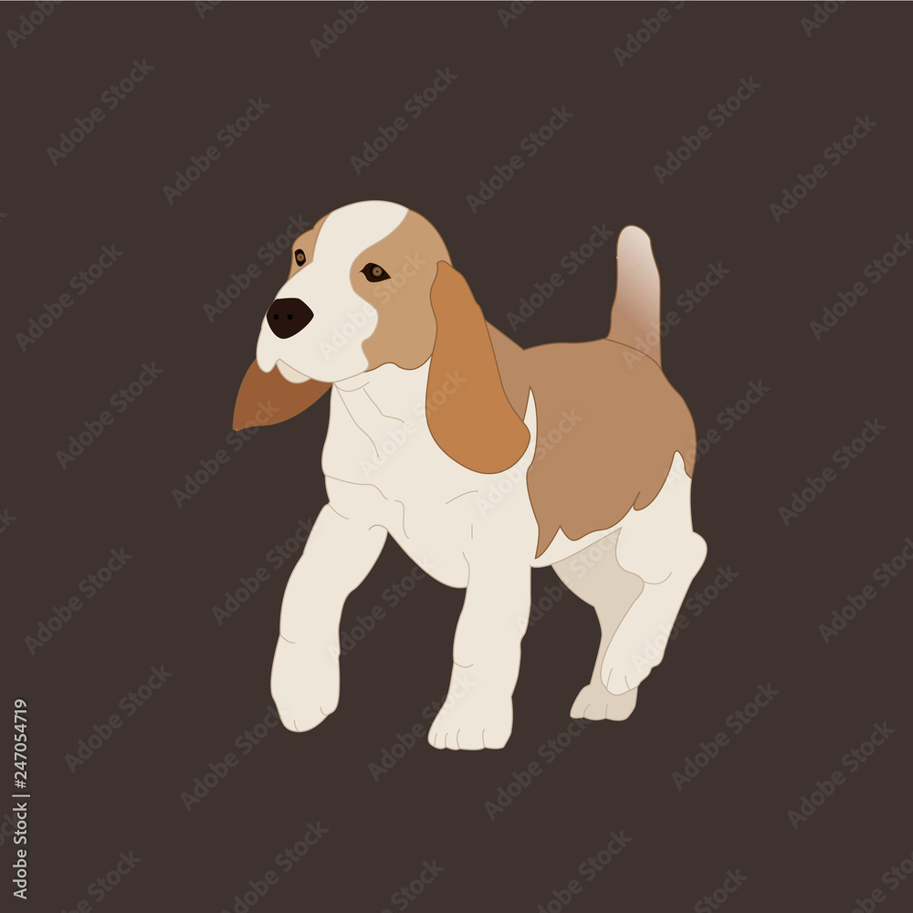 Vector illustration of a dog Vector illustration of a dog
