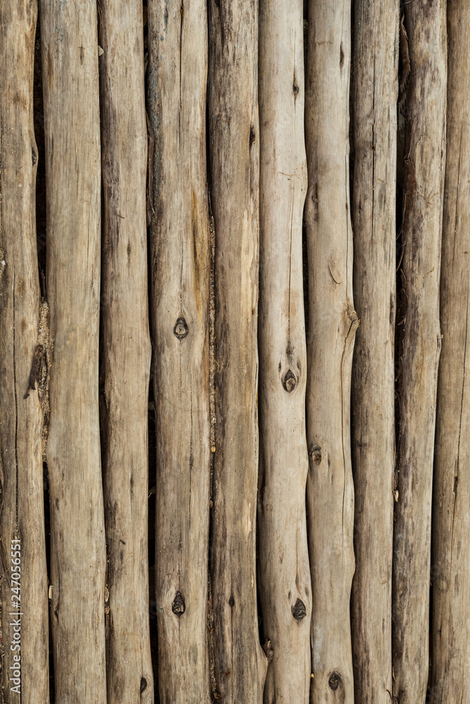 vertical boards old logs twig drawing natural pattern base old weathered fence rustic background vertical boards old logs twig drawing natural pattern base old weathered fence rustic background