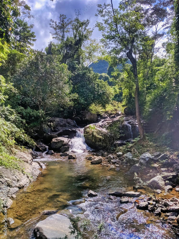 river in the forest on the way to Kaeng Nyui river in the forest on the way to Kaeng Nyui