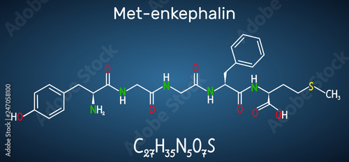 Met-enkephalin molecule. It is endogenous opioid peptide. Structural chemical formula on the dark blue background photo