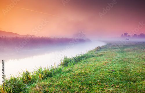 Fantastic foggy field in the sunlight. Location place Seret river, Ternopil. © Leonid Tit