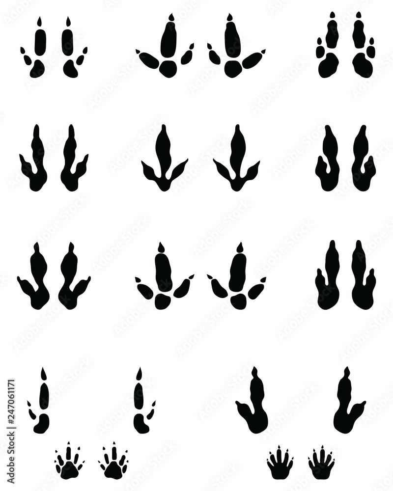 Black traces of kangaroo paws on a white background Black traces of kangaroo paws on a white background