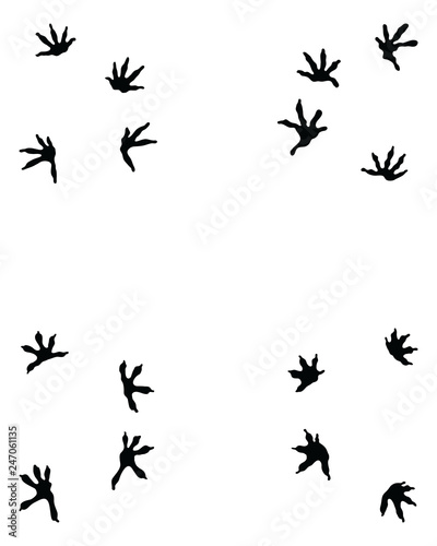 Black footprints of lizard on a white background