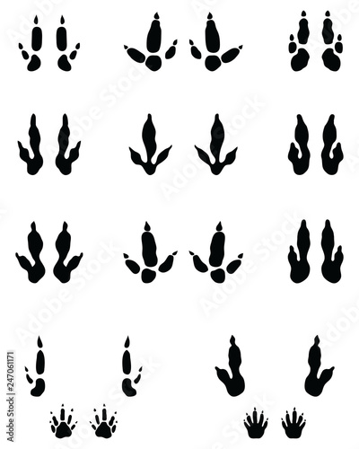 Black traces of kangaroo paws on a white background