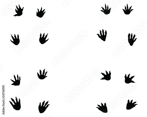 Black footprints of crocodile on a white background