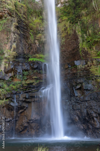 Fototapeta Naklejka Na Ścianę i Meble -  Lone Creek Falls 10