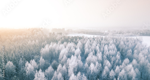 Beautiful winter scenery with sunrise over the tree tops of pine forest. Sunlight shines through the mist creating stunning aerial panorama. Moody winter day's landscape with warm sunlight. 