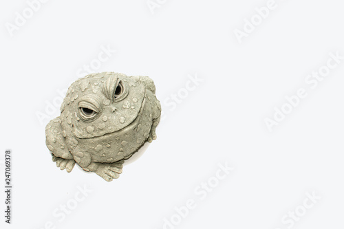 Frog figurine with white background smiling