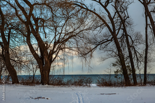 Toronto, CANADA - January 27th, 2019: Panoramic Canadian winter landscape near Toronto, beautiful frozen Ontario lake at sunset. Scenery with winter trees, water and blue sky. © Deyan