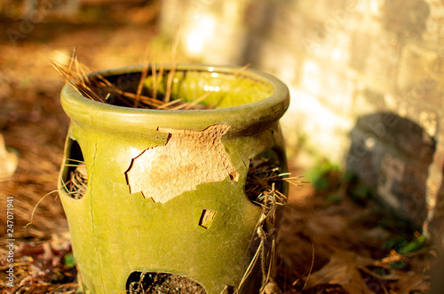 Flower Pot