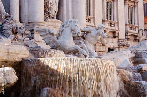 Fontana di Trevi - statue detail