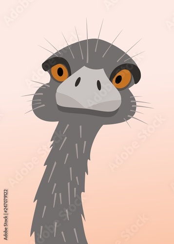 ostrich head