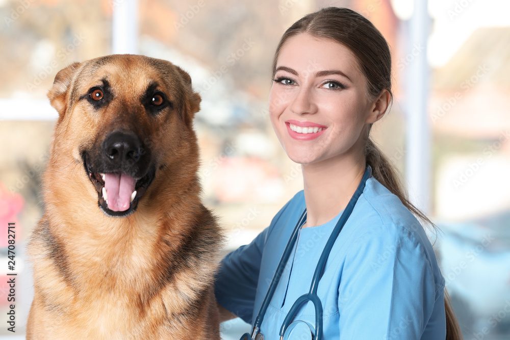 Veterinarian doc with dog in animal clinic