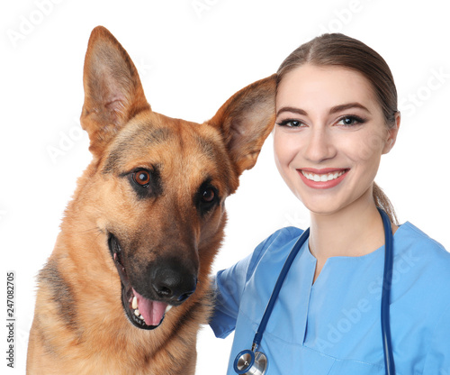 Veterinarian doc with dog on white background