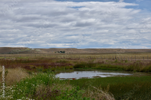 Paisaje de un paraje rural en patagonia argentina con laguna con patos y cielo con nubes