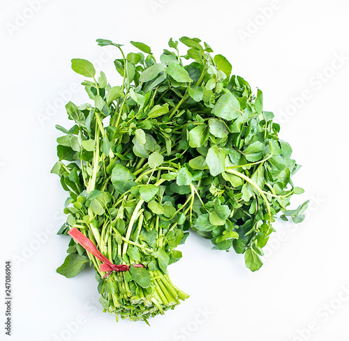 Fresh green vegetable watercress