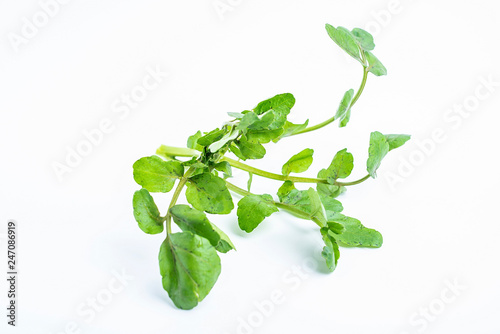 Foto Fresh green vegetable watercress