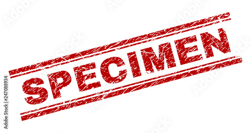 SPECIMEN seal print with grunge texture. Red vector rubber print of SPECIMEN text with retro texture. Text caption is placed between double parallel lines.