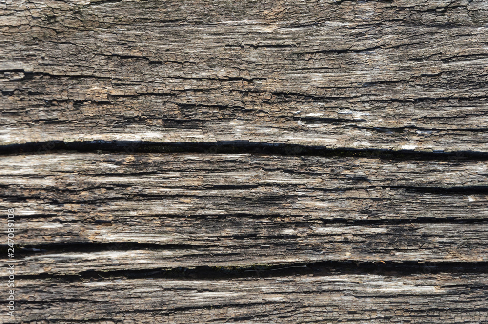 Old cracked wooden board texture Old cracked wooden board texture