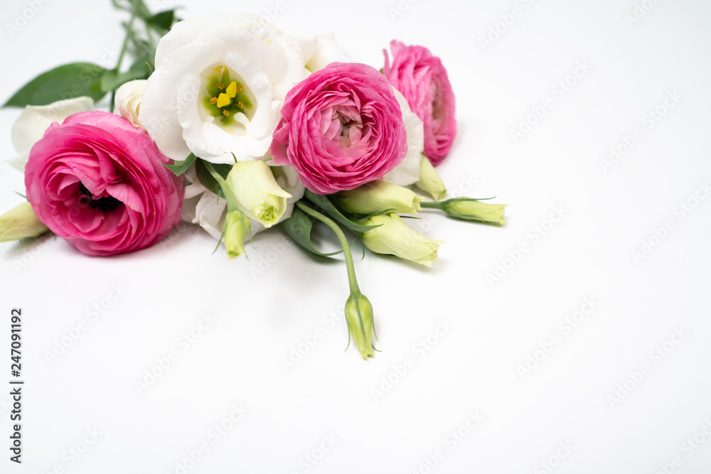 Fototapeta premium Pink and White Flower Flat lay